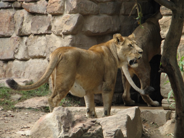 20100206 505.JPG
